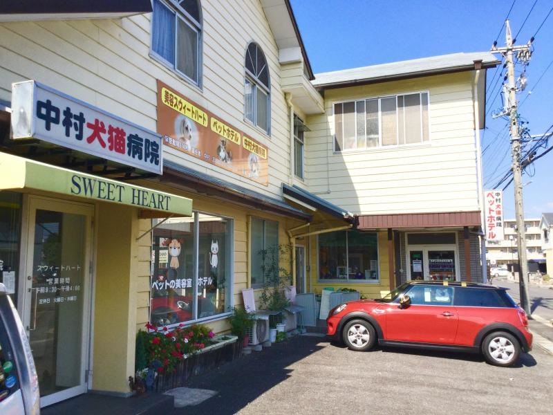建物