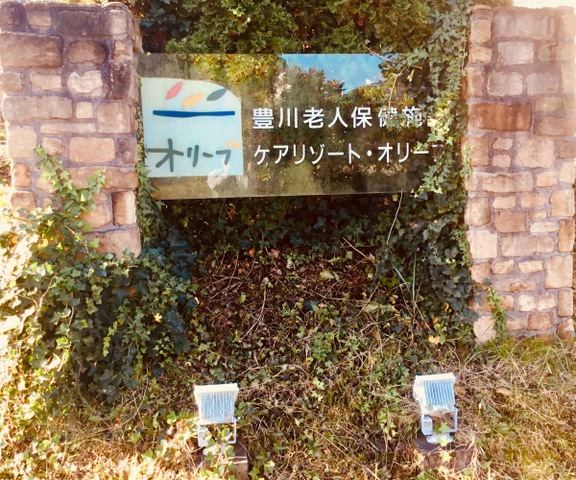 オリーブ