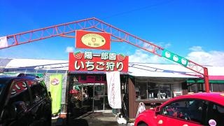 ＳＴＲＡＷＢＥＲＲＹＦＡＲＭ陽一郎園