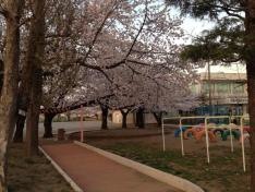 常光小学校