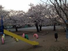常光小学校