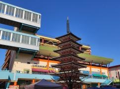 海老名中央公園