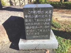 矢高中央公園