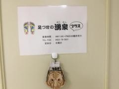 足つぼの湧泉