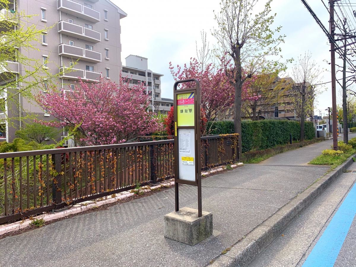 おゆみ野パークハウス　バス停