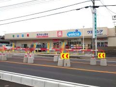 ウエルシア　羽生下岩瀬店