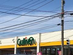 ガリバー高崎店