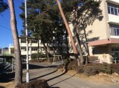 埼玉県立蓮田松韻高等学校