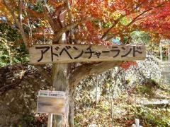 アドベンチャーランド