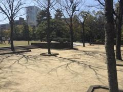 中央公園