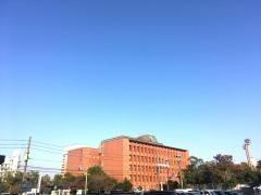 中津市役所