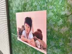 生田・ペットのナルオ