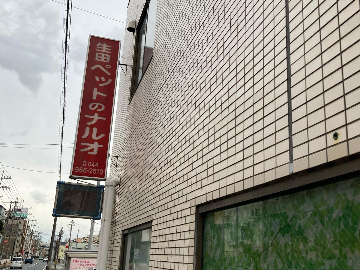 生田・ペットのナルオ