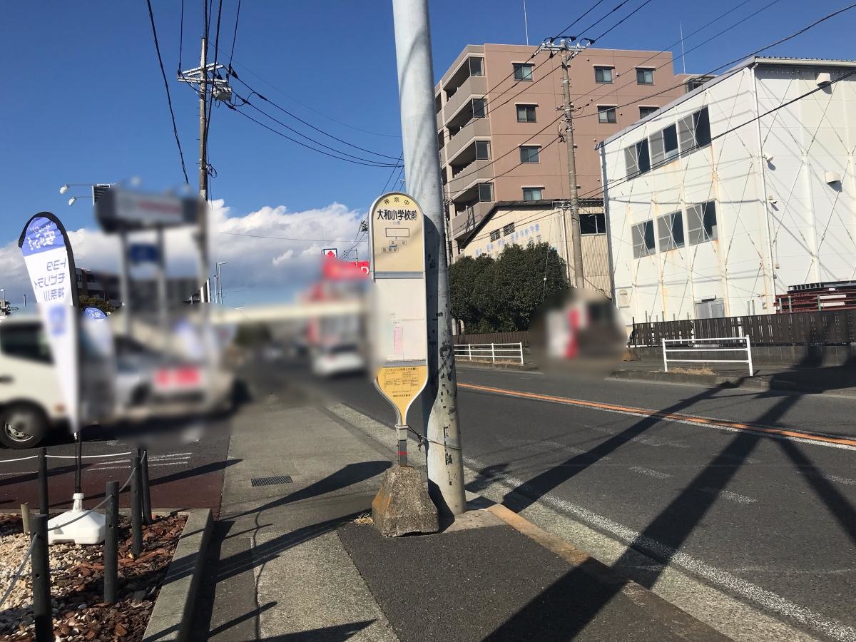全体