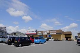 クスリのアオキ　南増尾店