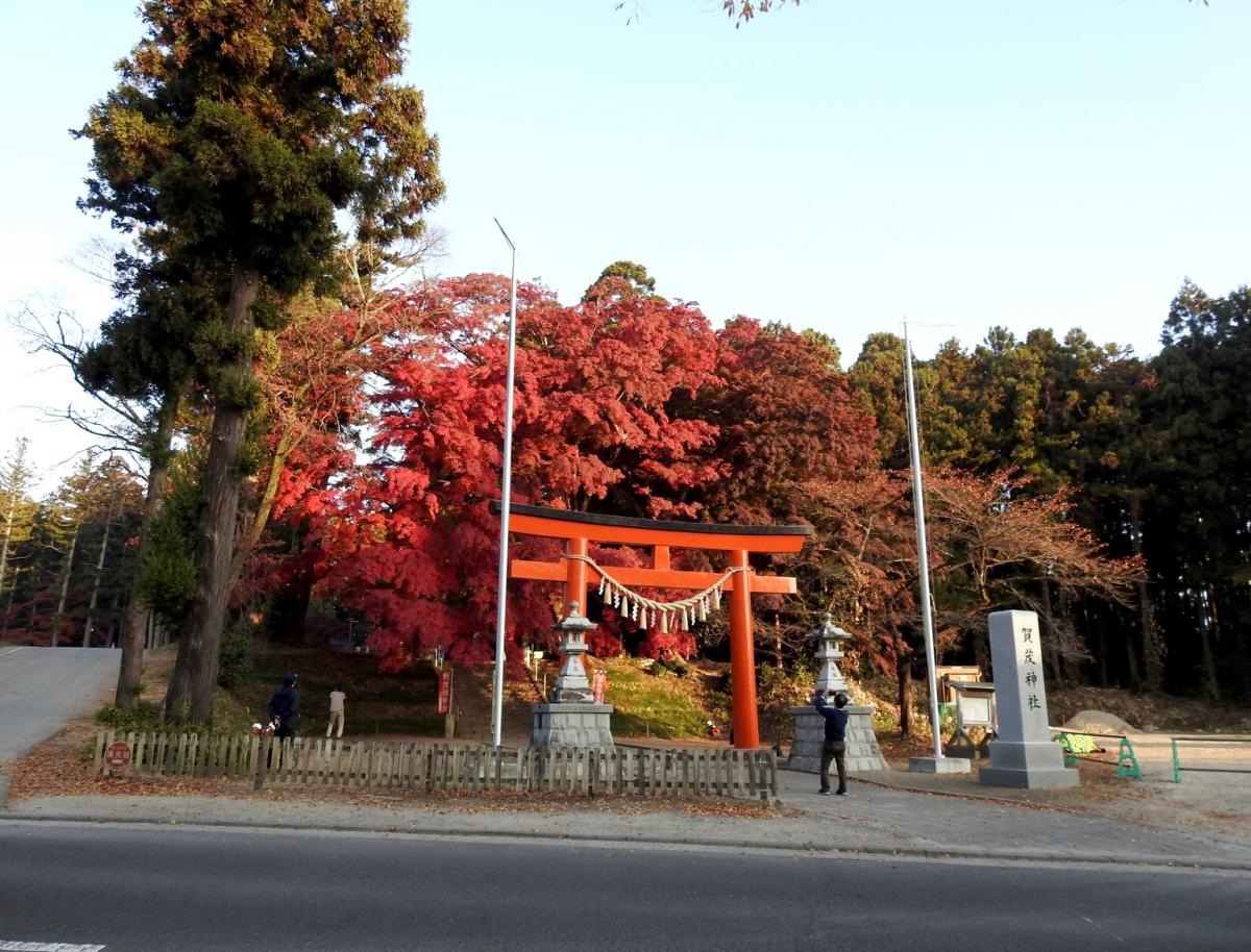 賀茂神社