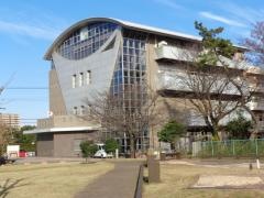 船橋市飛ノ台史跡公園博物館