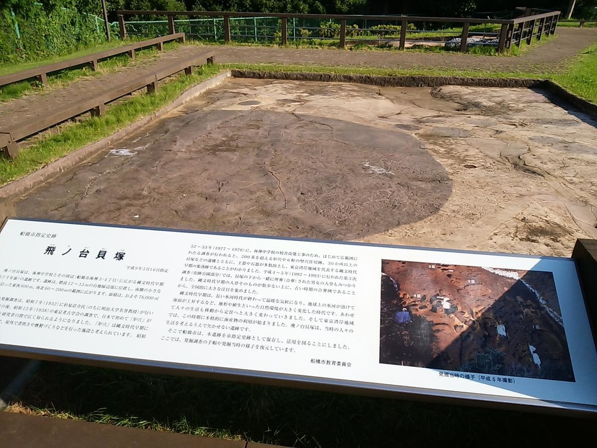 船橋飛ノ台史跡公園博物館