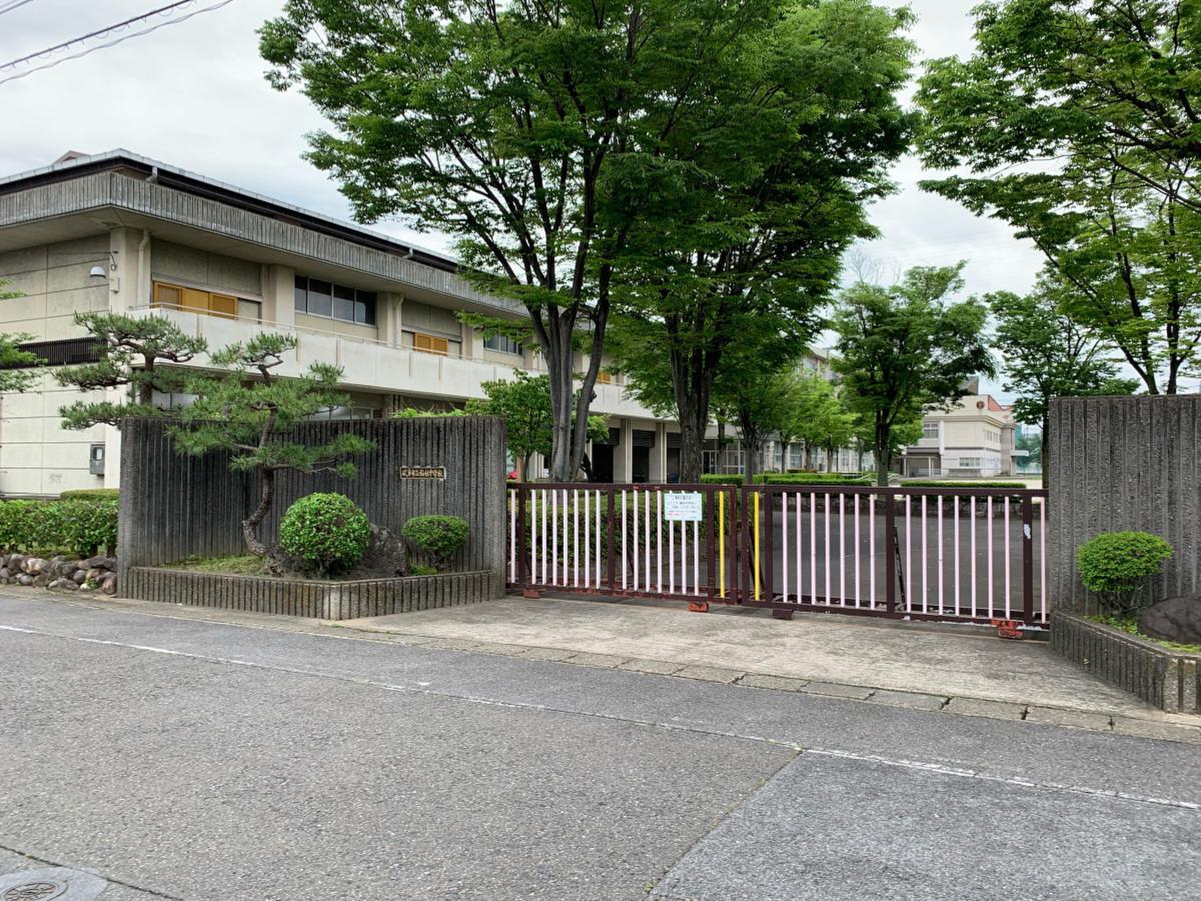 活動歴および当時の関連ビジュアル記録