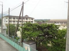 恋野幼稚園