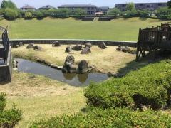 藤光公園