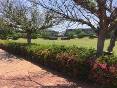 藤光公園