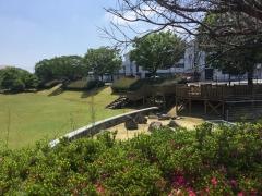 藤光公園
