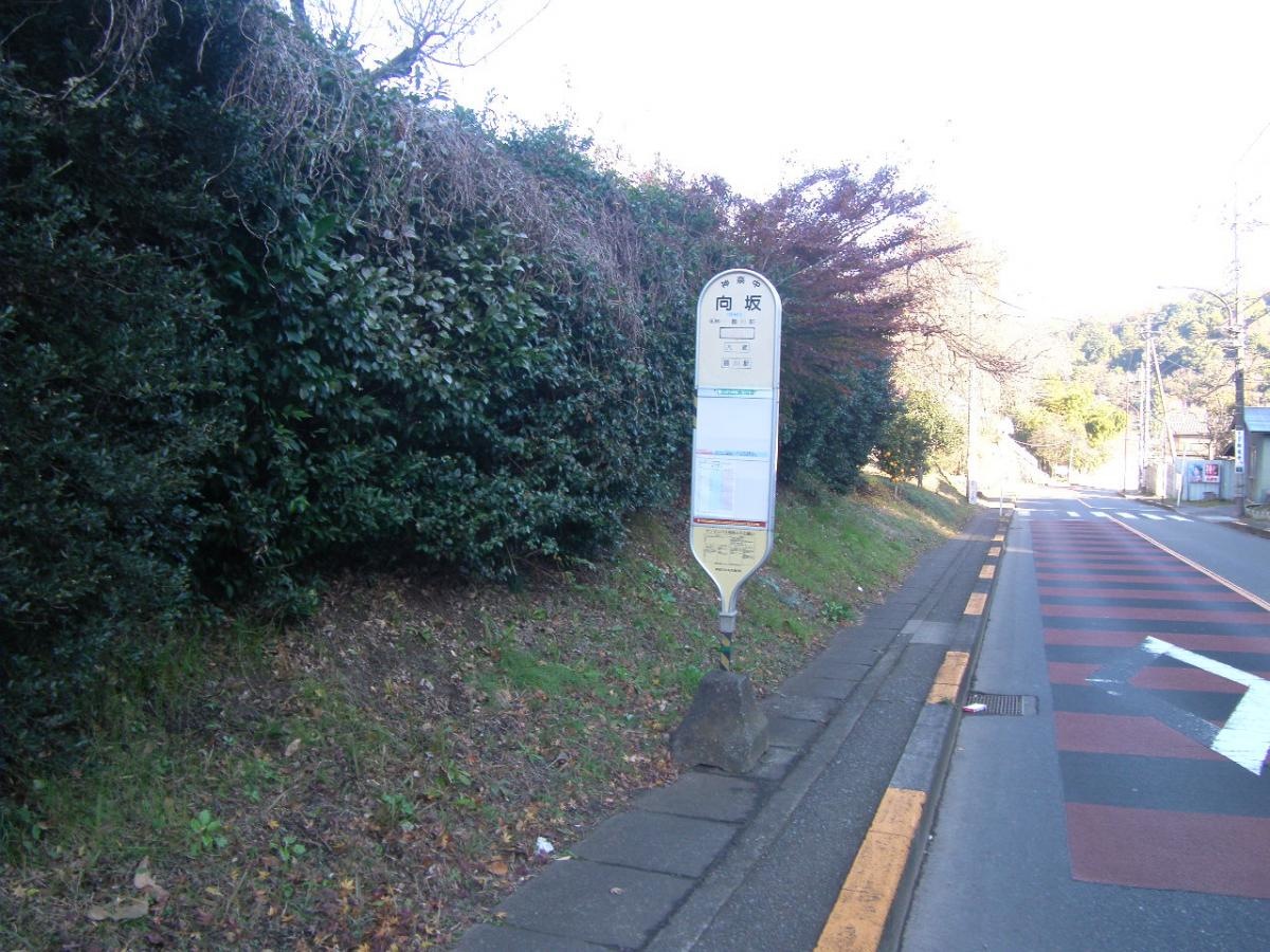 「向坂」バス停留所