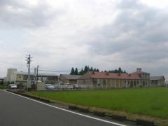 本巣ひまわり