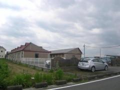 本巣ひまわり