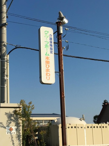 本巣ひまわり