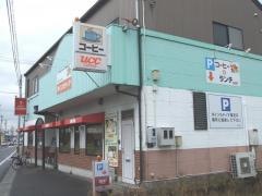 ポインセティア