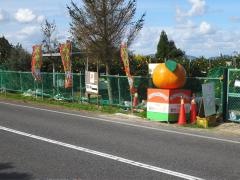 やすぎ観光みかん園