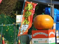 やすぎ観光みかん園