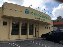 ｔａｍａ動物病院