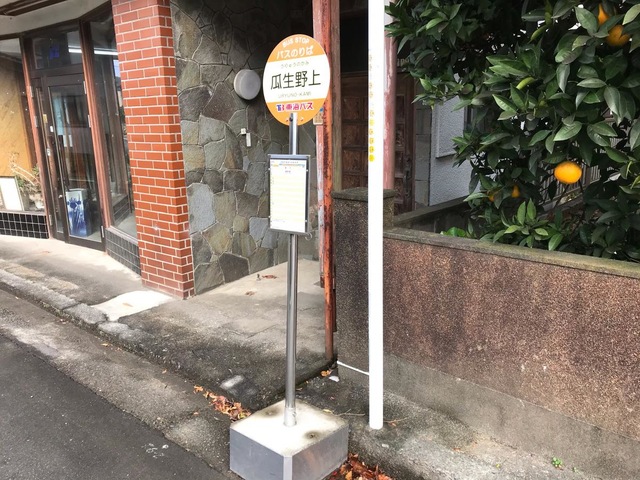 投稿写真1