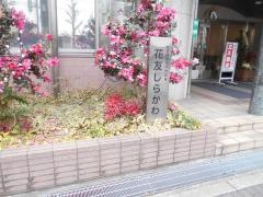 花友しらかわ