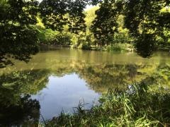 柚木公園