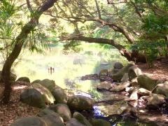柚木公園
