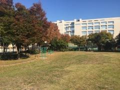 神宮東公園