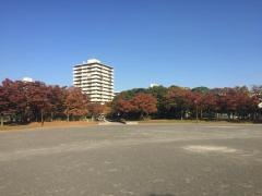神宮東公園