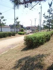 りんくう嘉祥寺中緑地