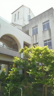 桃丘小学校