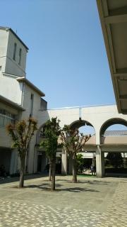 桃丘小学校