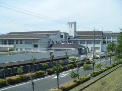 桃丘小学校