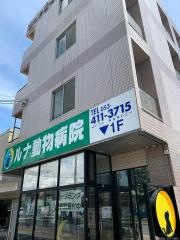 ルナ動物病院