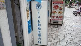 くりお動物医療内科