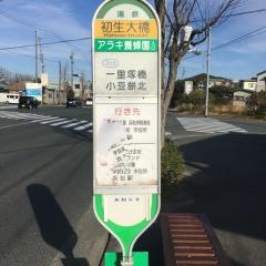 「初生大橋」バス停留所