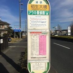「初生大橋」バス停留所