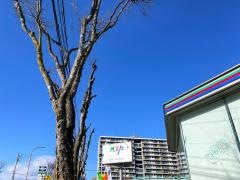 ＮＴＰ名古屋トヨペット　高蔵寺店